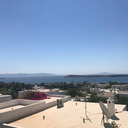 Panorama